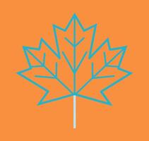 autumn maple leaf vector