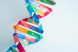 DNA or Deoxyribonucleic acid is a double helix chains structure formed by base pairs attached to a sugar phosphate backbone. photo