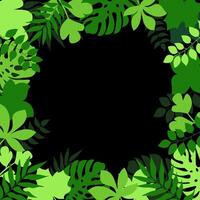 abstract green leaf background with copy space area,tropical leaf banner on summer design vector