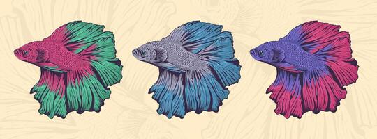 Set of Beautiful and Colorful Betta Fish Illustration vector
