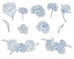 Peony and Hydrangea Hand Drawn Flower vector