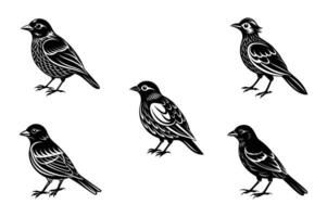 Set of black bird silhouettes. elements for design. vector