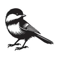 Black-capped Chickadee Bird Clipart - Black-capped Chickadee In An Alert Posture illustration in black and white vector