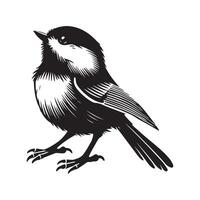 Black-capped chickadee Bird Clipart - Black-capped Chickadee Looking up illustration in black and white vector