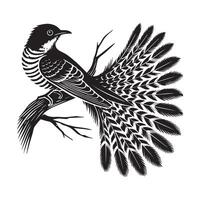 Yellow-billed Cuckoo silhouette, Cuckoo Bird Clipart, Yellow-billed Cuckoo perched tail fanned out Illustration in black and white vector