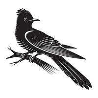 Yellow-billed Cuckoo silhouette, Cuckoo Bird Clipart, Yellow-billed Cuckoo Perched Raised Crest Illustration in black and white vector