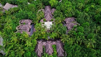 Hotel in the Maldives in palm trees on the beach video