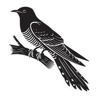 Common Cuckoo silhouette, European Cuckoo Bird Clipart, Common cuckoo tail feathers relaxed Illustration in black and white vector