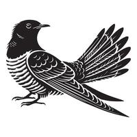 Common Cuckoo silhouette, European Cuckoo Bird Clipart, Common Cuckoo perched tail feathers fully fanned Illustration in black and white vector