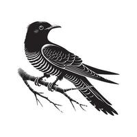 Common Cuckoo silhouette, European Cuckoo Bird Clipart, Common Cuckoo perched delicately Illustration in black and white vector