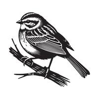 White-throated sparrow silhouette, Sparrow Bird Clipart, White-throated sparrow on a branch facing left illustration vector