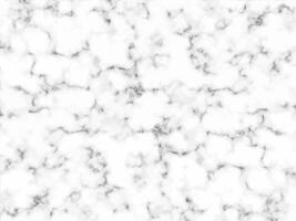 White marble texture. Abstract modern background. vector