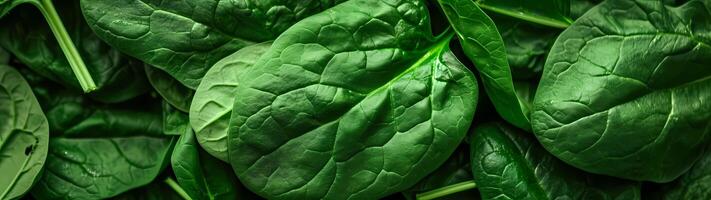 A hyper-realistic macro photo captures the intricate details of fresh spinach leaves