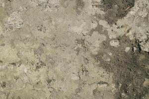 A cement texture background offers a rugged, industrial look with subtle variations in tone and texture photo
