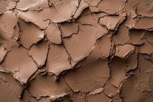 The dried clay texture background features a cracked, earthy surface with subtle variations in tone photo