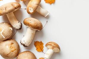 Autumn background of wild forest mushrooms and leaves, top view on white background. Decorative natural frame for various designs. photo