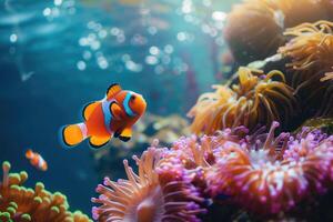 Colorful clownfish swimming near vibrant sea anemones in a beautiful underwater scene. Captures the essence of marine life and the intricate symbiotic relationship in coral reefs. photo