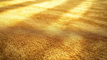 carpet cleaning poster photo