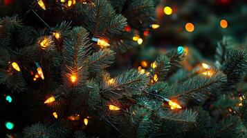 Close-up of pine tree branches adorned with glowing Christmas lights photo