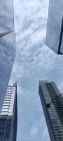 Skyscrapers view from below on the background of the sky, megalopolis buildings photo