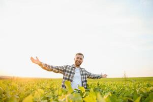 Farmer standing in soybean field at sunset photo