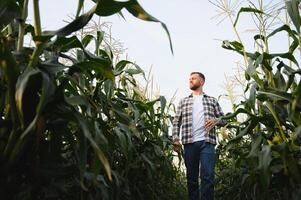 Portrait of a handsome farmer or agronomist in a corn field at sunset photo