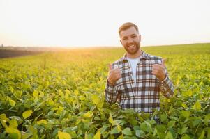 A farmer inspects a green soybean field. The concept of the harvest photo