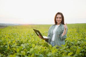 Modern agribusiness. Female farmer with digital laptop examines and checkins green leaves of soybeans plants at field photo