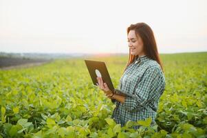 Modern agribusiness. Female farmer with digital laptop examines and checkins green leaves of soybeans plants at field photo