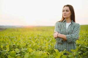 Female farmer or agronomist examining green soybean plants in field photo