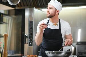 Portrait of happy caucasian male chef standing in restaurant kitchen, copy space photo