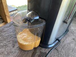 Production of sea buckthorn juice from berries photo