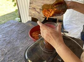 Production of sea buckthorn juice from berries photo