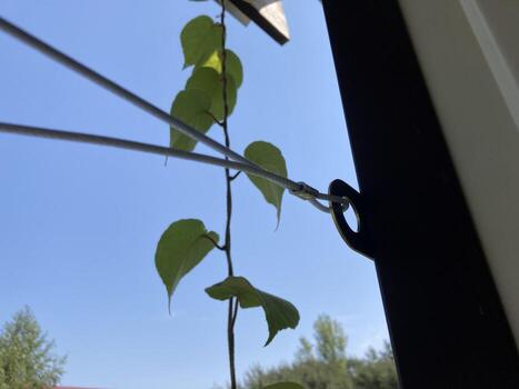 Installing a clothesline in your home photo