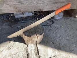 A machete stuck into a wooden stump photo