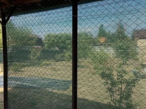 Installation of mosquito netting photo