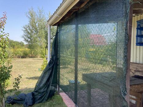 Installation of mosquito netting photo