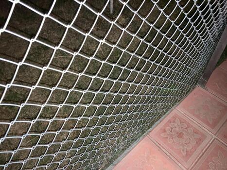 instalación de mosquito red foto