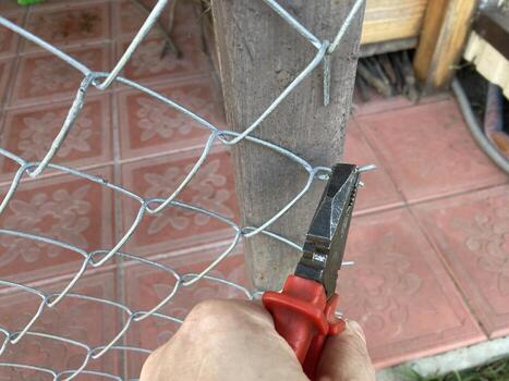 Installation of mosquito netting photo