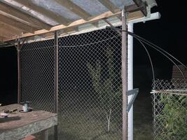 Installation of mosquito netting photo