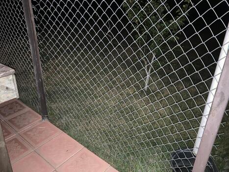 instalación de mosquito red foto