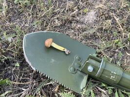 Sapper shovel for survival on a hike photo