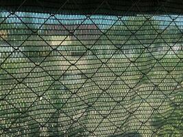 Installation of mosquito netting photo
