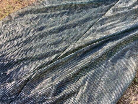 Installation of mosquito netting photo