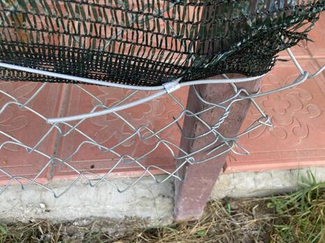 instalación de mosquito red foto