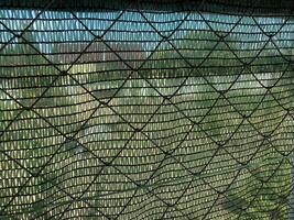 Installation of mosquito netting photo