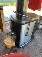 Production of sea buckthorn juice from berries photo