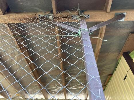 Installation of mosquito netting photo
