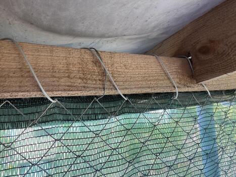 instalación de mosquito red foto