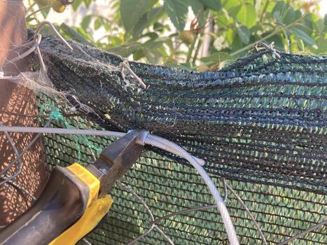 fortalecimiento un cerca con un sombreado red con un cuerda foto